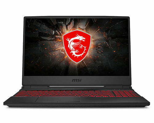MSI GL65 9SE-223XFR