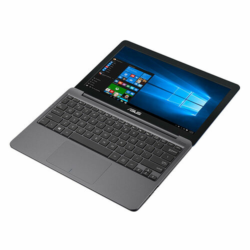 Asus Vivobook E12 (E203MA-FD100TS)