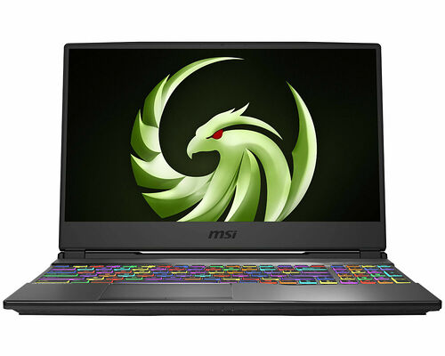 MSI Alpha 15 (A3DDK-010FR)