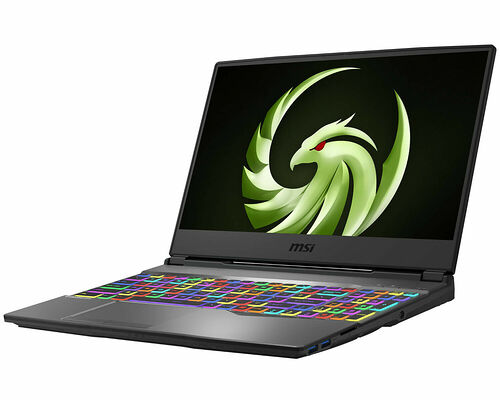 MSI Alpha 15 (A3DDK-010FR)
