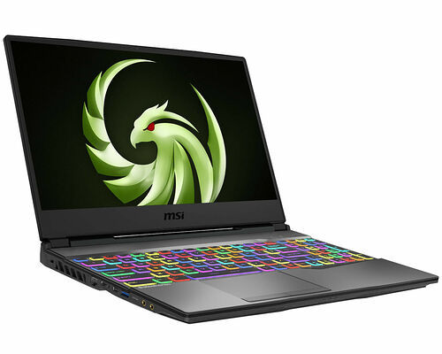 MSI Alpha 15 (A3DDK-010FR)