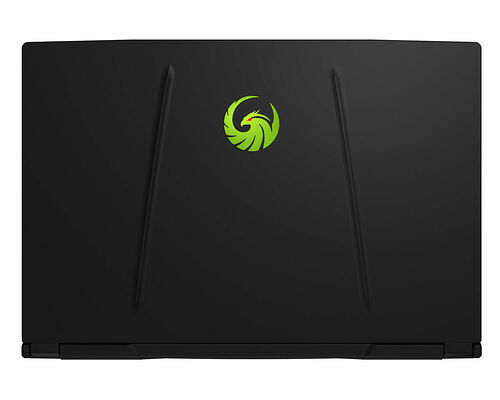 MSI Alpha 15 (A3DDK-010FR)