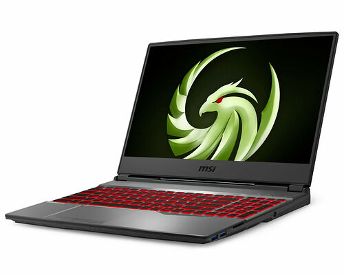 MSI Alpha 15 (A3DD-095XFR)