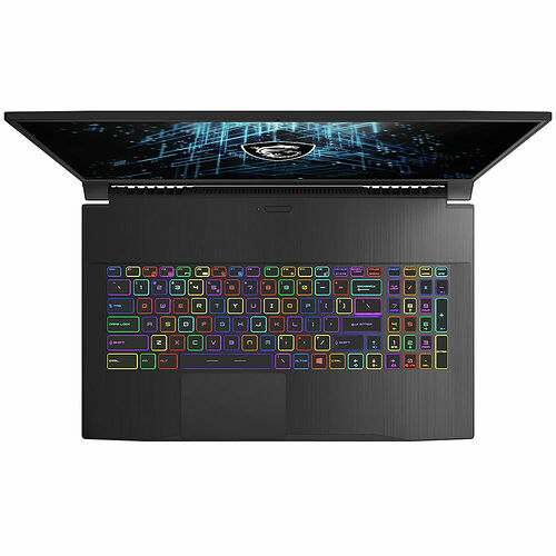 MSI GF75 Thin (10UEK-023FR)