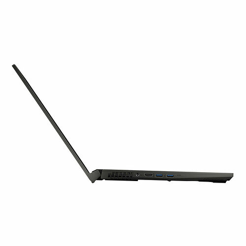 MSI GF75 Thin (10UEK-023FR)
