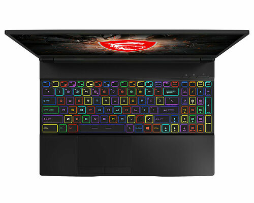 MSI GE65 9SF-289FR Raider