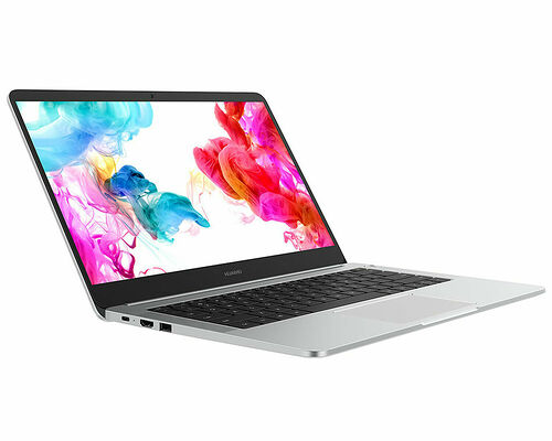 Huawei MateBook D 14 (53010FBW) Argent