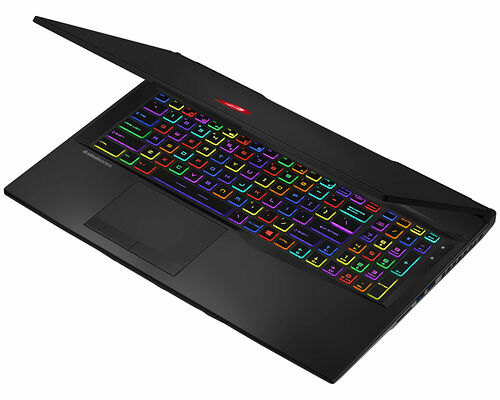 MSI GL75 9SGK-1075FR