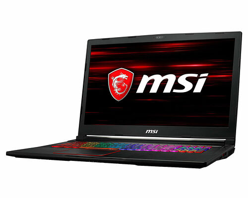 MSI GE73 8RE-642FR Raider RGB