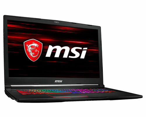 MSI GE73 8RE-642FR Raider RGB