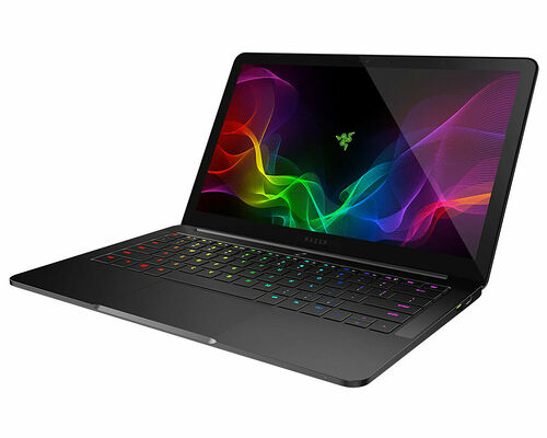 Razer Blade Stealth 13 (RZ09-02393F31-R3F1)
