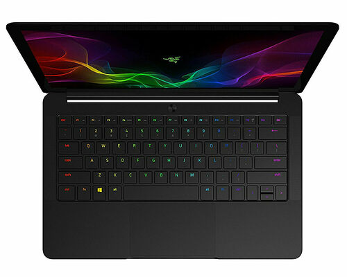 Razer Blade Stealth 13 (RZ09-02393F31-R3F1)