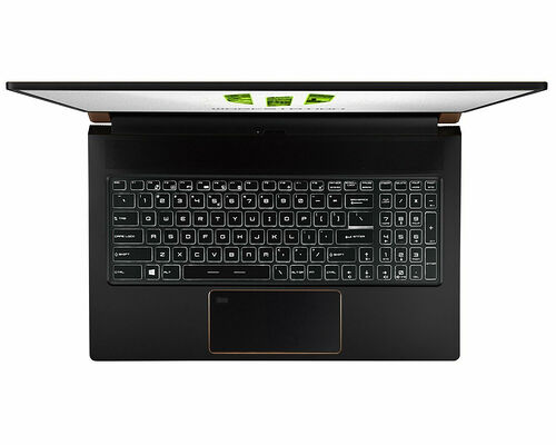 MSI WS75 (9TL-1233FR)