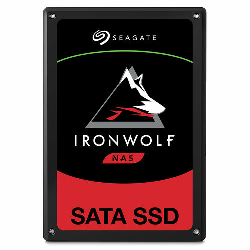 Seagate IronWolf 110 480 Go