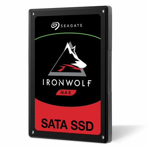 Seagate IronWolf 110 480 Go