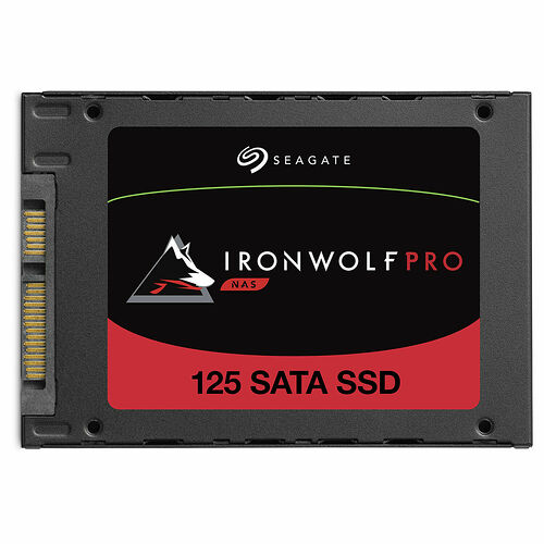 Seagate IronWolf Pro 125 480 Go