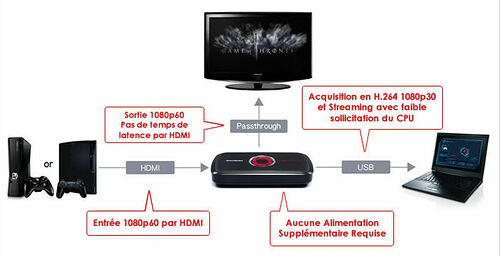 AVerMedia LGP Lite (GL310)