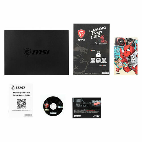 MSI GeForce GTX 1660 ARMOR 6G OC