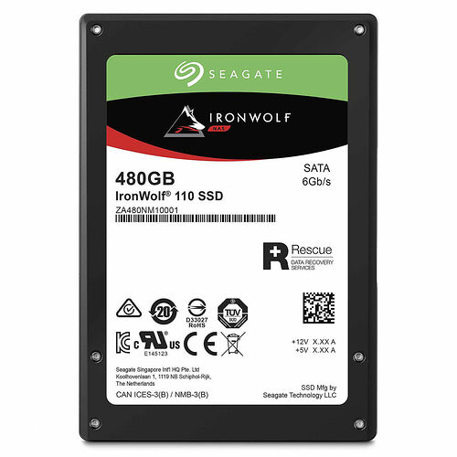 Seagate IronWolf 110 480 Go