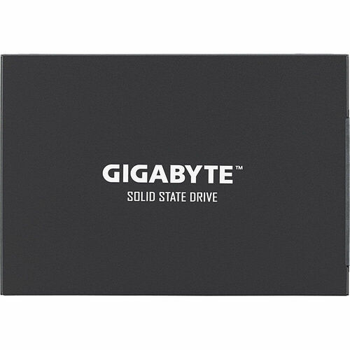 Gigabyte UD Pro 256 Go