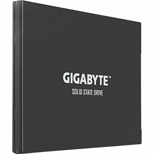 Gigabyte UD Pro 256 Go