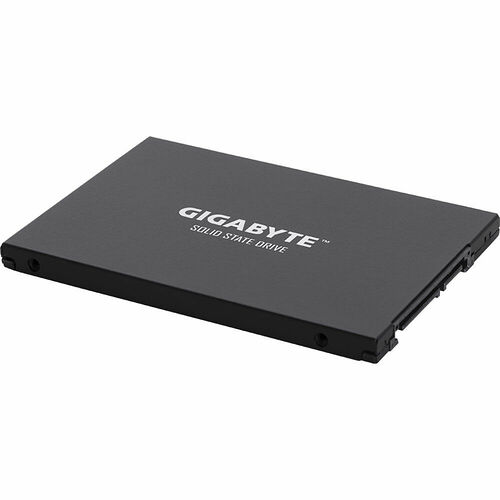 Gigabyte UD Pro 256 Go