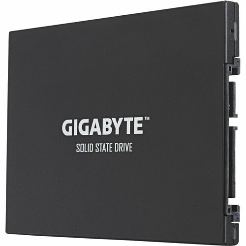 Gigabyte UD Pro 256 Go