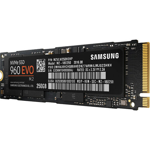 Samsung Série 960 EVO, 250 Go, M.2 (Type 2280)