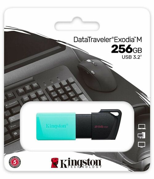 Kingston DataTraveler Exodia M - Type-A - 256 Go
