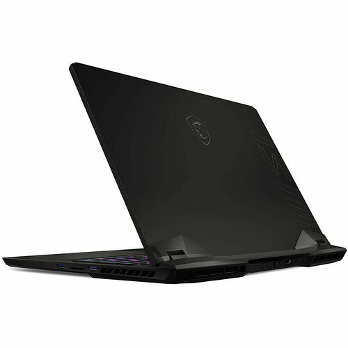 MSI Raider GE77HX (12UGS-054FR)