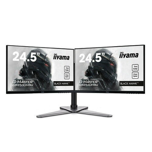 Pack Dual Screen, Iiyama G-Master GB2530HSU-B1 FreeSync  + Pied Iiyama DS1002D-B