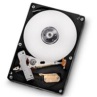 Disque dur Hitachi Deskstar 7K1000.D, 1 To