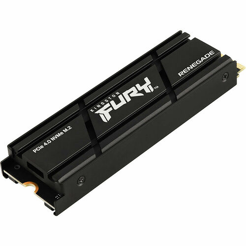 Kingston FURY Renegade 4 To (avec dissipateur)