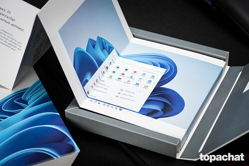 Microsoft Windows 11 Famille - 64 bits (version Clé USB)