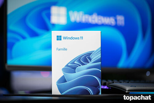 Microsoft Windows 11 Famille - 64 bits (version Clé USB)