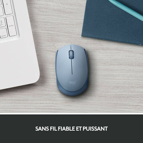 Logitech M171 Wireless Mouse (Bleu Gris)