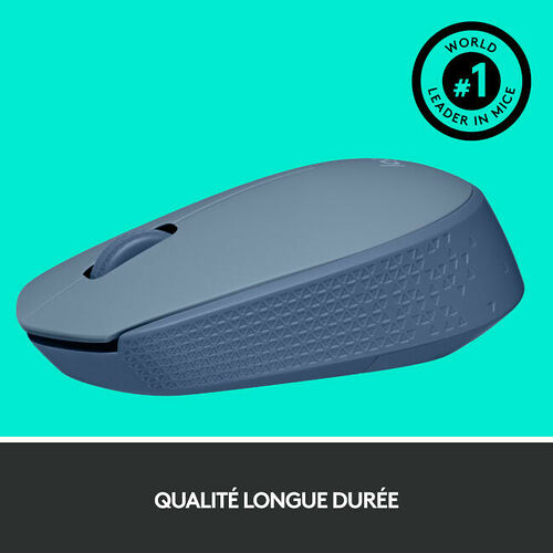 Logitech M171 Wireless Mouse (Bleu Gris)