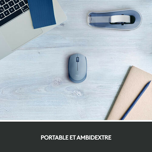 Logitech M171 Wireless Mouse (Bleu Gris)