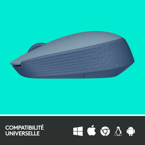 Logitech M171 Wireless Mouse (Bleu Gris)