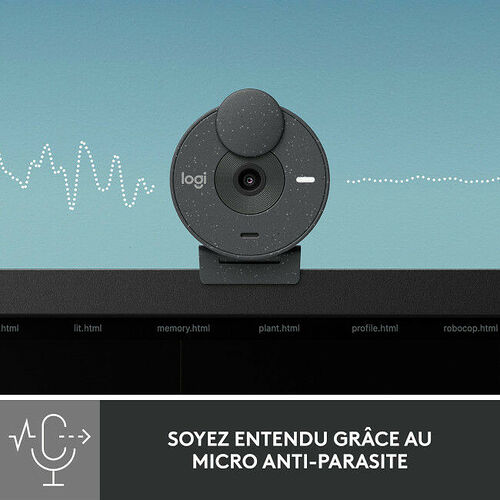 Logitech Brio 300 (Graphite)