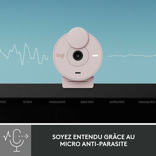 Logitech Brio 300 (Rose)