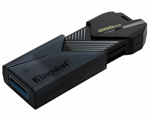 Kingston Exodia Onyx - Type-A - 256 Go