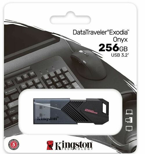 Kingston Exodia Onyx - Type-A - 256 Go