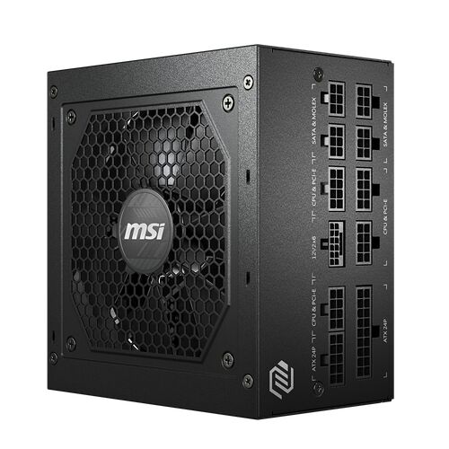 MSI MAG A750GL PCIE5 - 750W