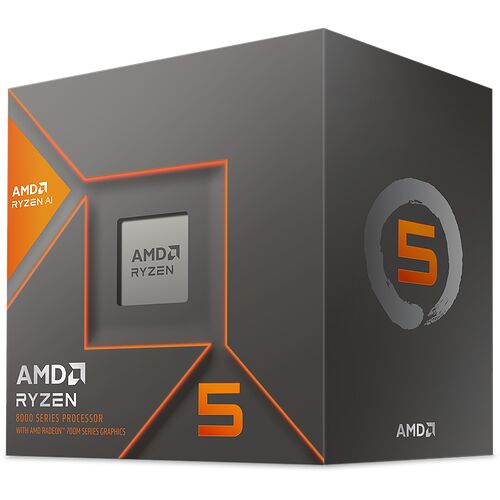 AMD Ryzen 5 8600G (4.3 GHz)