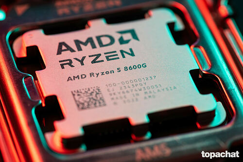 AMD Ryzen 5 8600G (4.3 GHz)