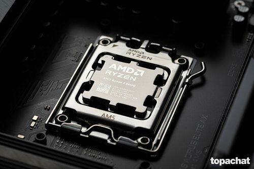 AMD Ryzen 5 8600G (4.3 GHz)