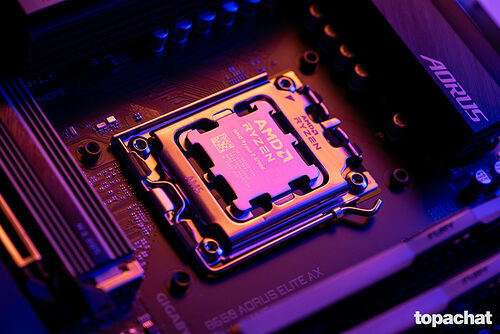 AMD Ryzen 7 8700G (4.2 GHz)
