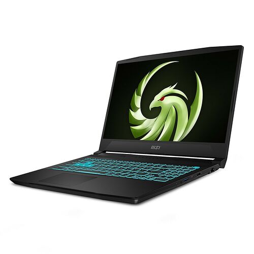 MSI Bravo 15 (C7VE-007FR)