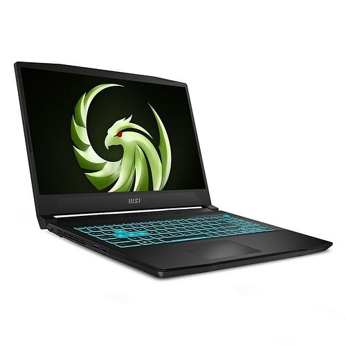 MSI Bravo 15 (C7VE-007FR)